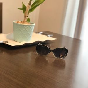 Fossil Glasses